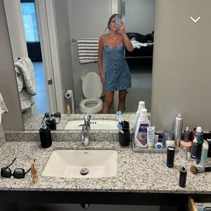 COPY - Revolve dress